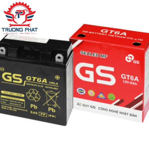 Bình ắc quy GS GT6A